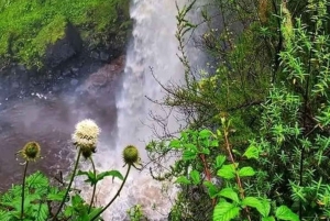 3 dni, 2 noce przygody w Parku Narodowym Aberdare