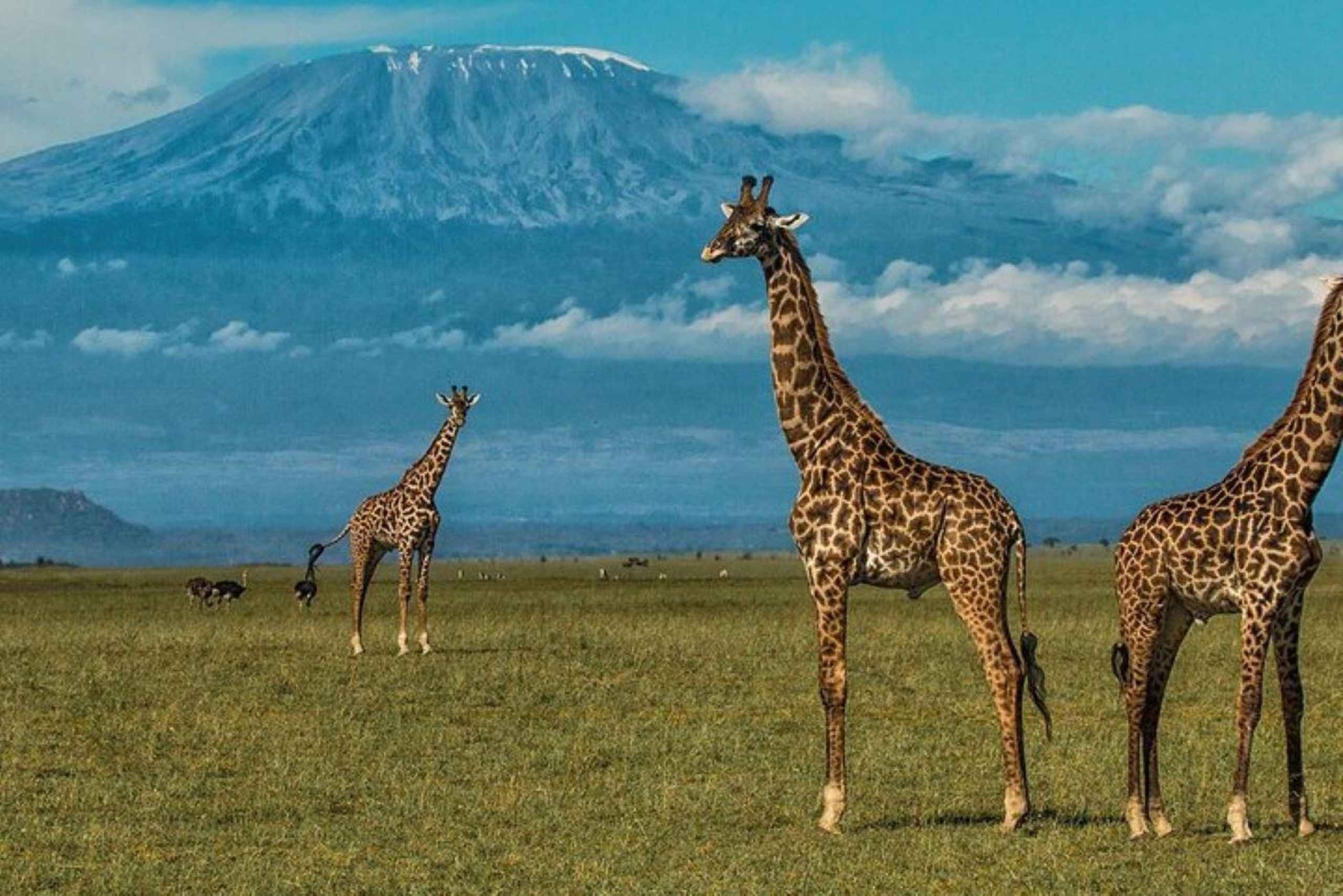 3 Dagen, 2 Nachten Amboseli Privé Budget Safari