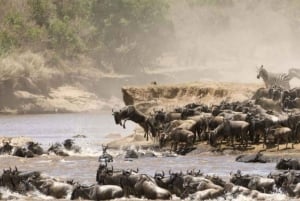 3-DAYS MAASAI MARA SMALL GROUP SAFARI - IN A SAFARI VAN