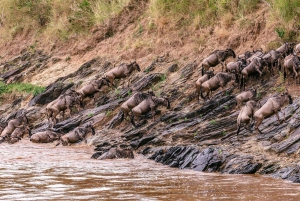3 Tage 2 Nächte Maasai Mara Private Safari zur Keekorok Lodge