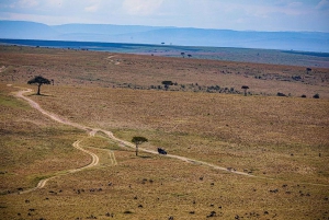 3 päivää 2 yötä Maasai Mara Yksityinen safari Keekorok Lodgeen