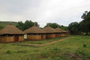 3 Days 2 Nights Masai Mara Safari