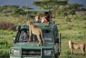 Safari di 3 giorni e 2 notti nel Masai Mara