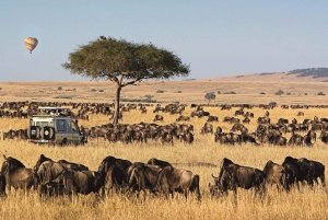 3 Dagen 2 Nachten Privétour in Maasai Mara