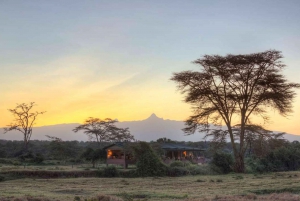 3 Days 2 Nights Safari To Olpejeta