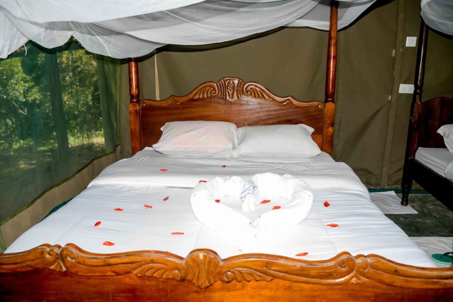 3 dages, 2 nætters safari til Samburu National Reserve