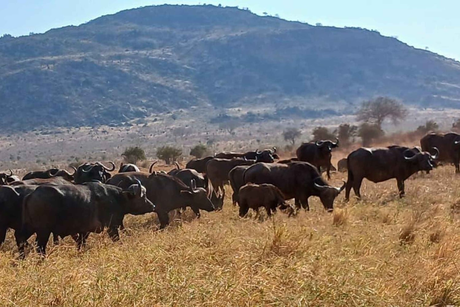 3 Days, 2 nights tour to Amboseli National Park