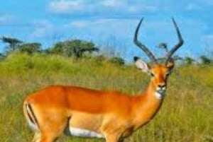 3 Days, 2 nights tour to Amboseli National Park