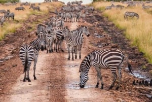 3 days 2nights masai mara joining safari Jeep
