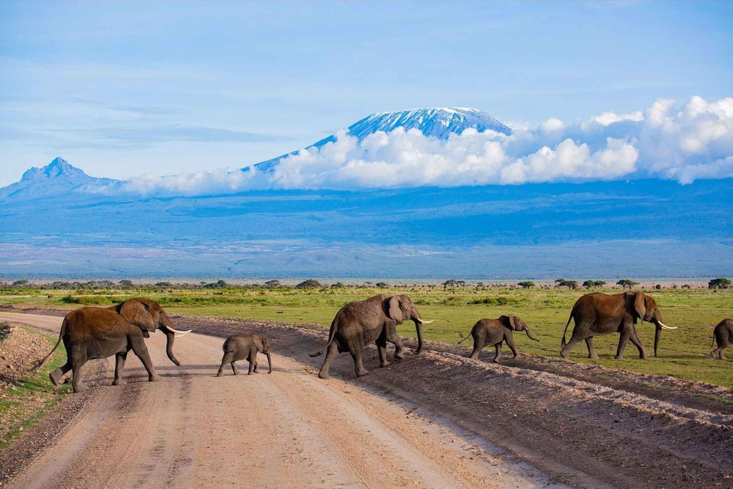 Safaris de luxo de 3 dias no Parque Nacional Amboseli