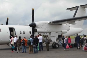 3-daagse Amboseli-safari met luxe lodge en vluchten