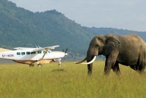 3-daagse Amboseli-safari met luxe lodge en vluchten