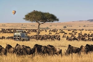 3-daagse Amboseli-safari met luxe lodge en vluchten