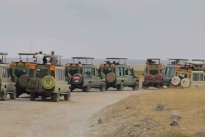 3-daagse Amboseli-safari met luxe lodge en vluchten