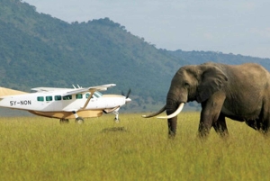Safari Amboseli de 3 dias com alojamento de luxo e voos