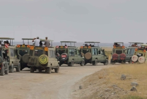 Safari Amboseli de 3 dias com alojamento de luxo e voos