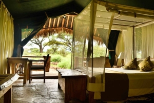 Safari Amboseli de 3 dias com alojamento de luxo e voos