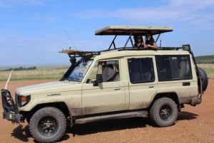 3 días en grupo a maasai mara en 4x4 landcruiser sin tasas de parque