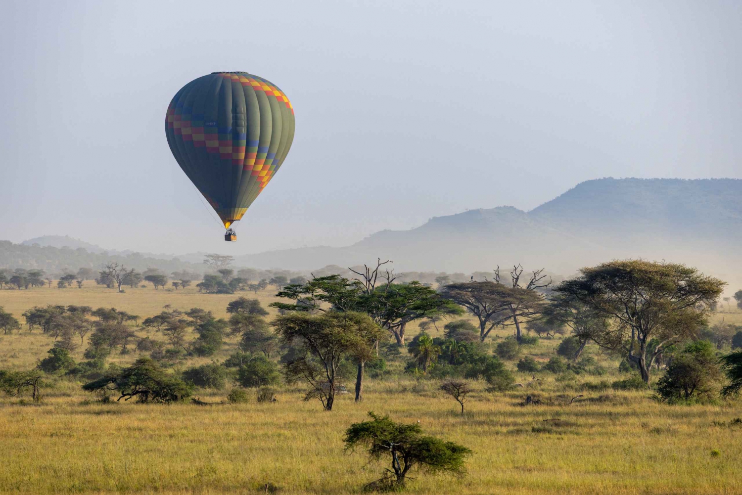 3 dagers luksussafari i Amboseli-parken og tur i varmluftsballong