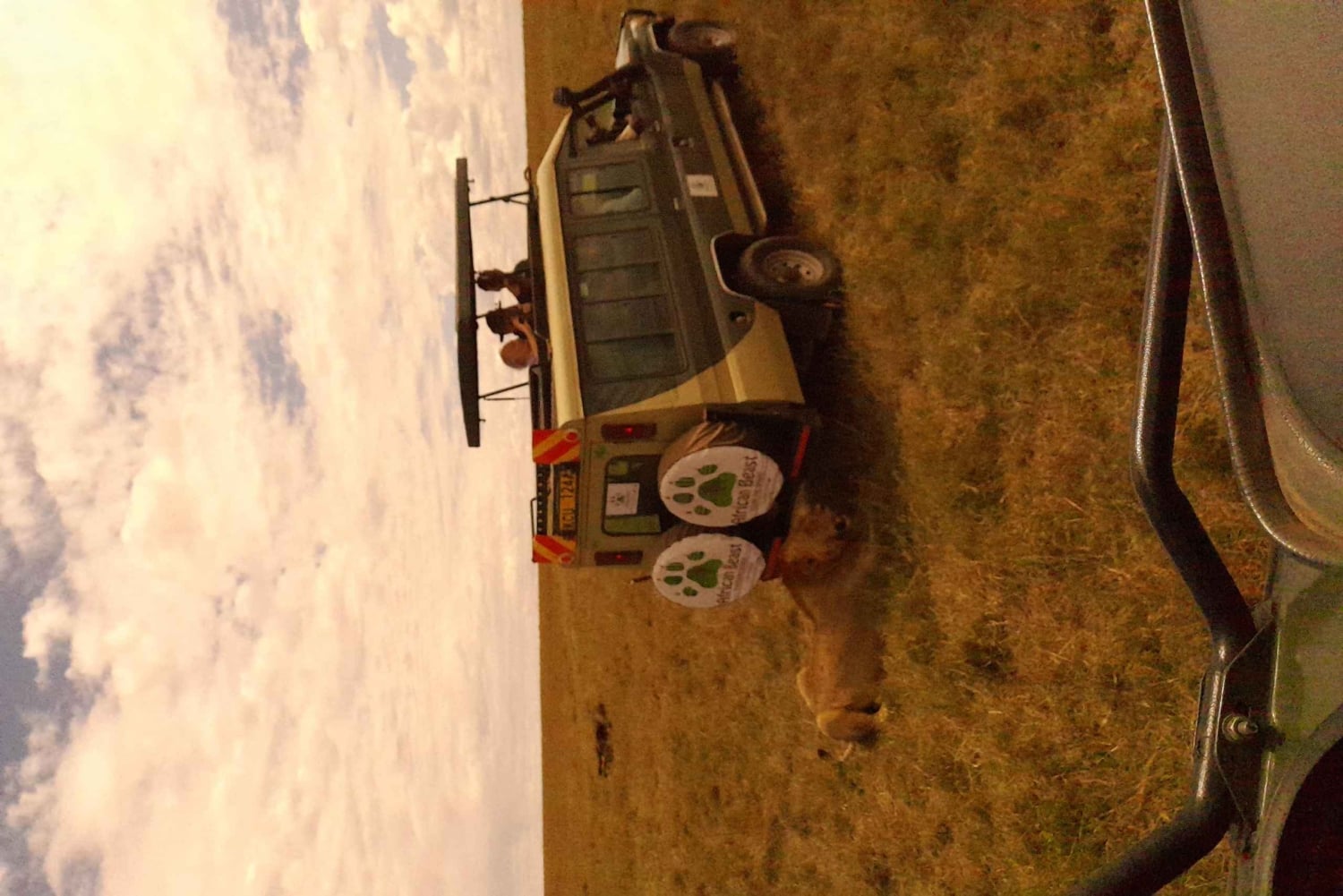3 dagar Maasai Mara gruppsafari med en 4x4 Landcruiser