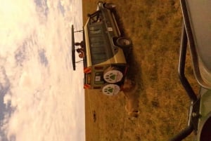 3 Days Maasai Mara Group Safari using a 4x4 Landcruiser
