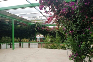 3 Tage Maasai Mara Kleingruppen-Safari - Jambo Mara Lodge