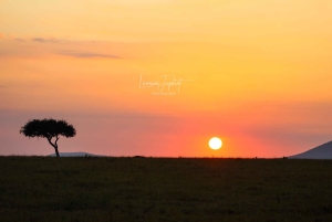 3 Tage Maasai Mara Kleingruppen-Safari - Jambo Mara Lodge