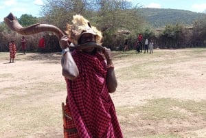 3-Days Masaai Mara Group Safari