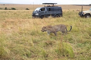 3-Days Masaai Mara Group Safari