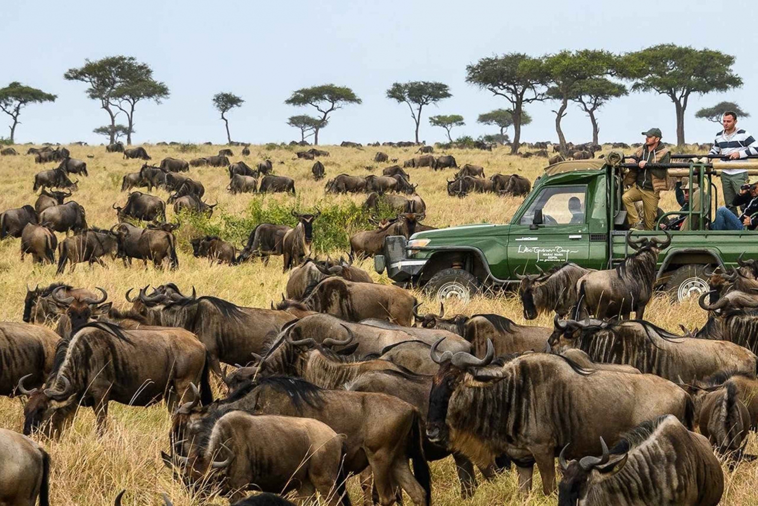 3 Tage Masai Mara Camping Safari mit einem 4x4 Land Cruiser Jeep