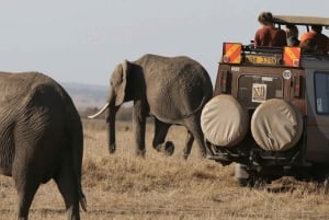 Safari de acampada de 3 días en el Masai Mara en un 4x4 Land Cruiser Jeep