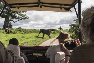 3 päivän Masai Mara Camping Safari 4x4 Land Cruiser Jeepillä