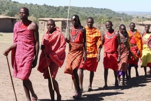 Safari de 3 días a Masai Mara desde Nairobi
