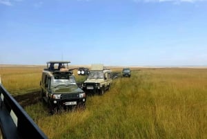 Safari de 3 días a Masai Mara desde Nairobi