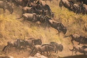 3-Days Masai Mara Joining Safari From Nairobi