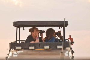 3 Days Maasai Mara Small Group Safari- Jambo Mara Lodge