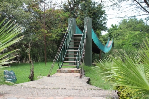 3 Days Maasai Mara Small Group Safari- Jambo Mara Lodge