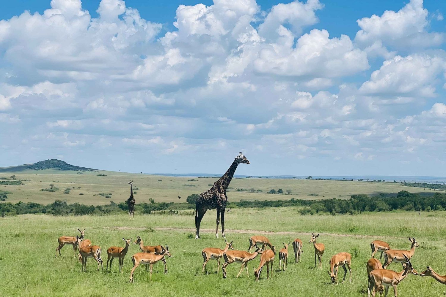 3 Days Masai Mara Safari In Luxury Tent