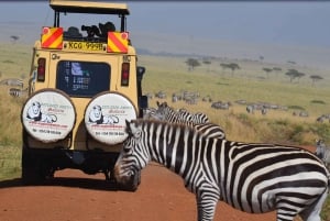 3 Days Masai Mara Safari In Luxury Tent