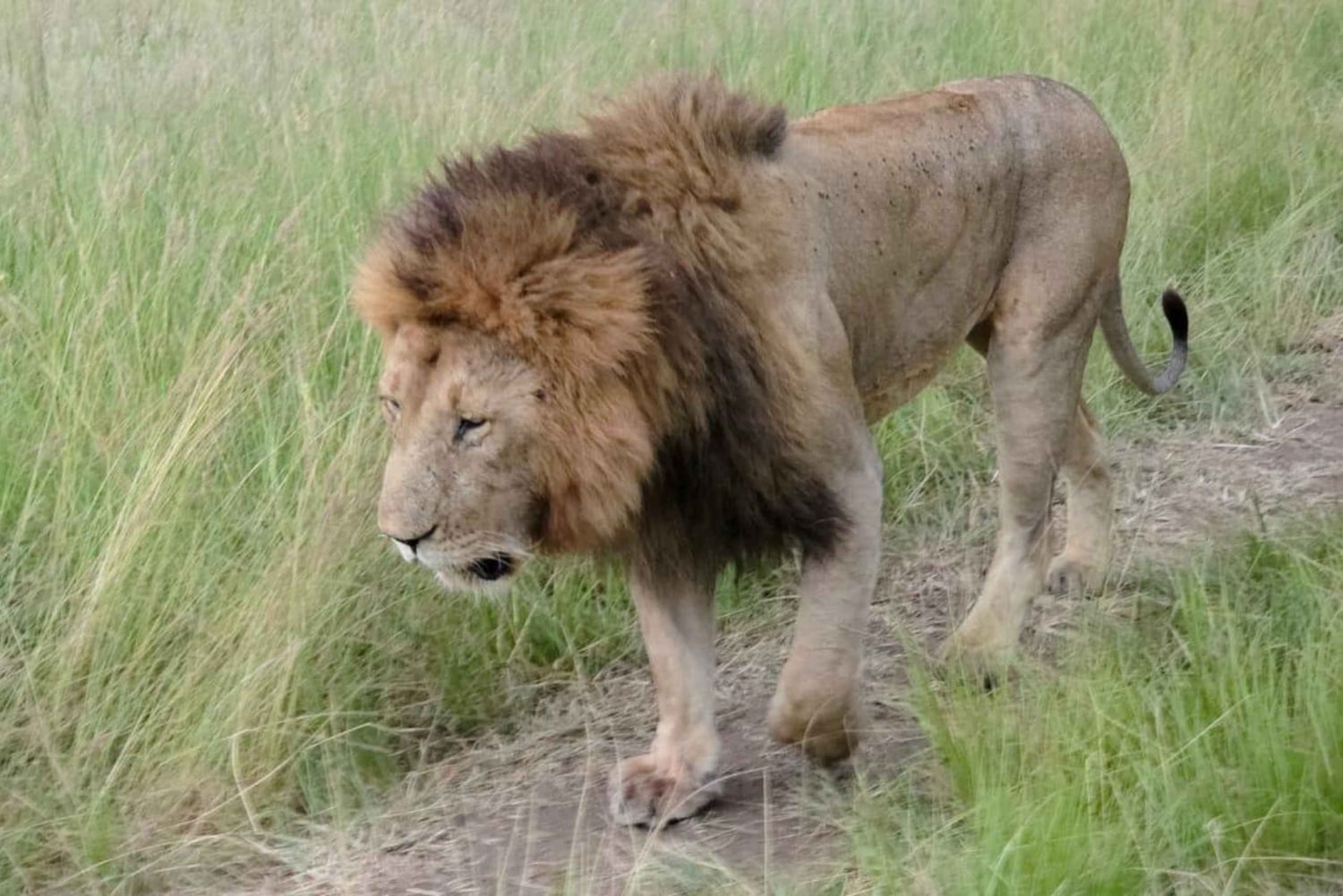 3 Days Mid range Samburu National reserve