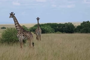 3 Days Mid range Samburu National reserve