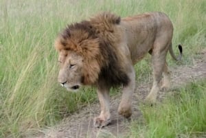 3 Days Mid range Samburu National reserve