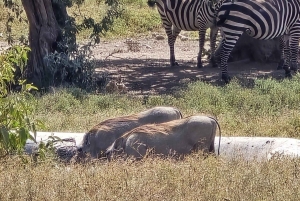 3 Days: Mt. Longonot, Hell's Gate & Spa and Crescent Island