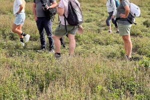 3 Days: Mt. Longonot, Hell's Gate & Spa and Crescent Island