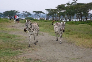 3 Days: Mt. Longonot, Hell's Gate & Spa and Crescent Island