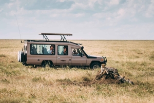 3 Days Private Midrange Safari from Nairobi