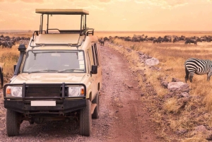 3 Days Private Midrange Safari from Nairobi