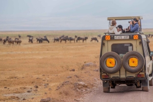 3 Days Private Midrange Safari from Nairobi