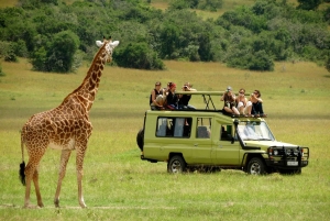 3 Days Private Midrange Safari from Nairobi