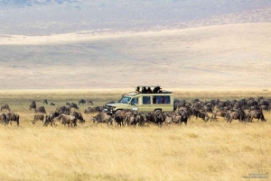 3 Days Private Midrange Safari from Nairobi
